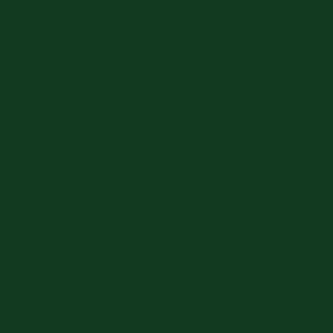 LAMINADO DECORATIVO VERDE OFICIAL TX - L113